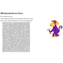 500 Internal Server Error