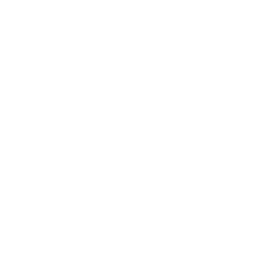 Integrated Circuits CHIPS